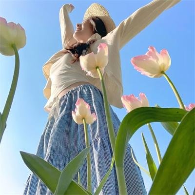 白山新歌